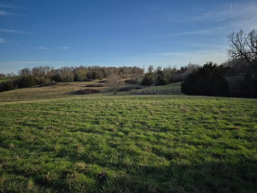 000 S Farm Road 11, Ash Grove, MO 65604 - #2
