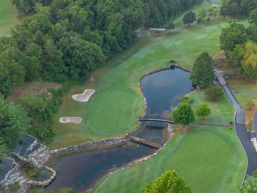 1209 Ledgestone Circle, Branson West, MO 65737 - #2