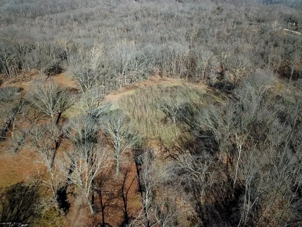 000 State Highway Uu, Washburn, MO 65772