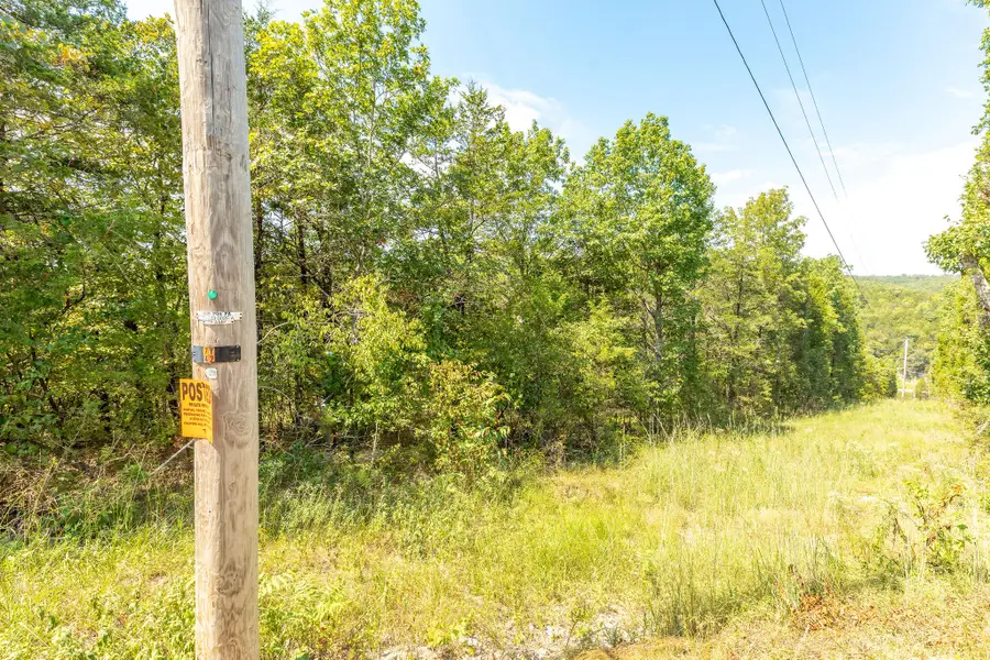 Lot 2 Savage Road, Kirbyville, MO 65679 - #3
