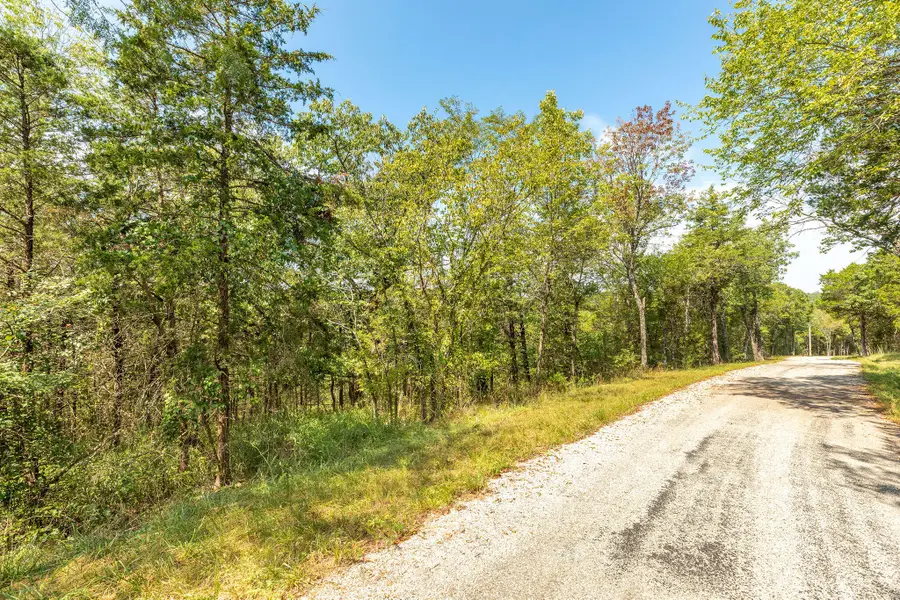 Lot 5 Savage Road, Kirbyville, MO 65679 - #2