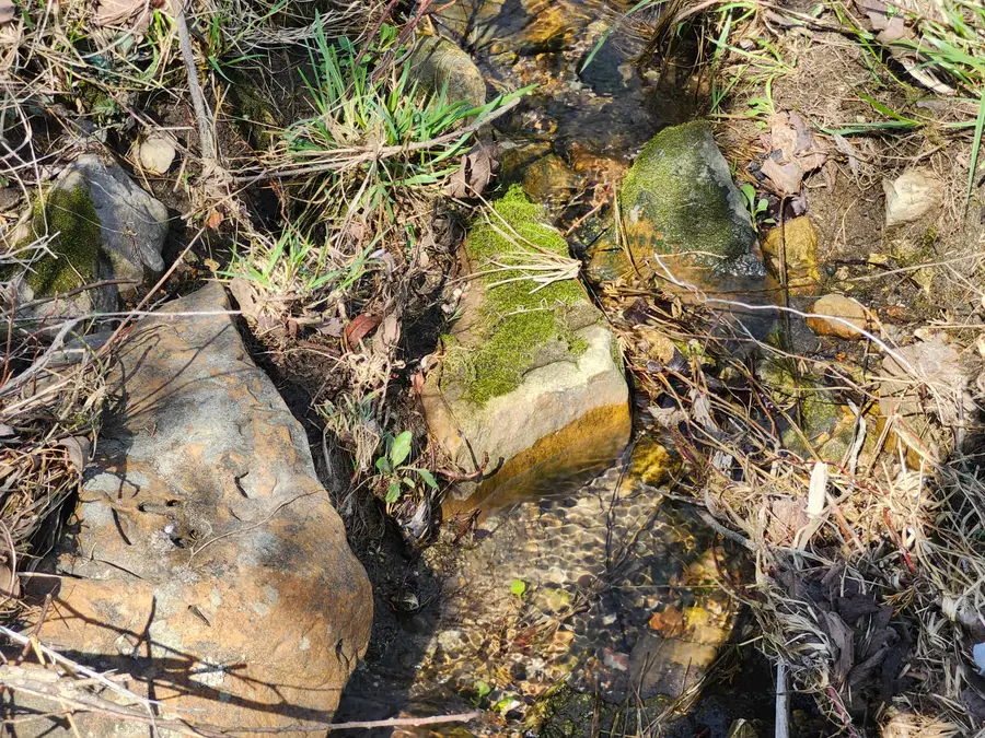 Tbd Huggins Road, Huggins, MO 65484 - #3