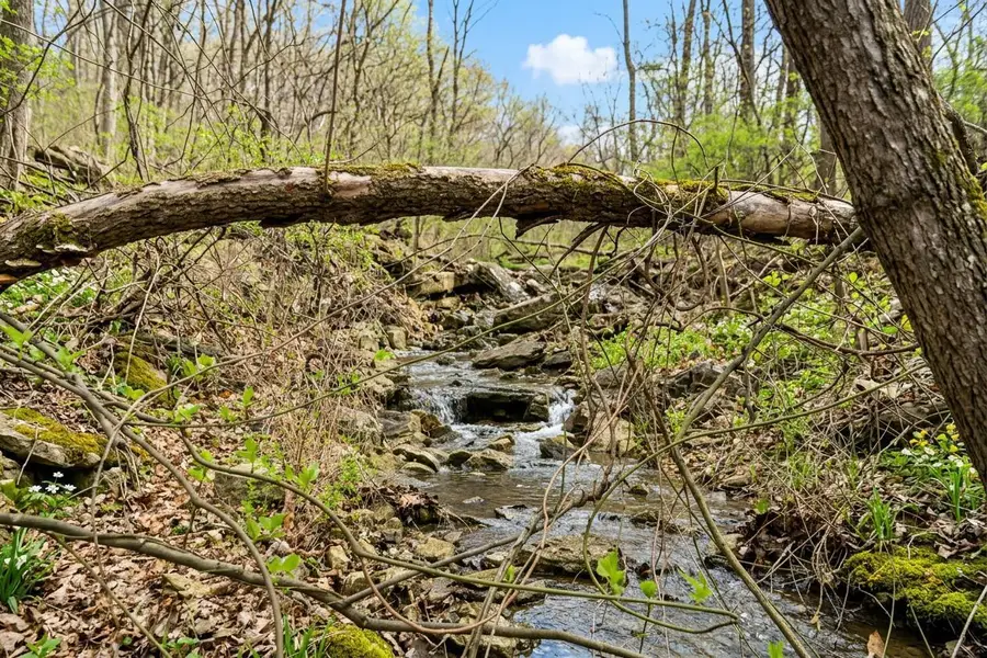 212 Angora Road, Branson West, MO 65737 - #3