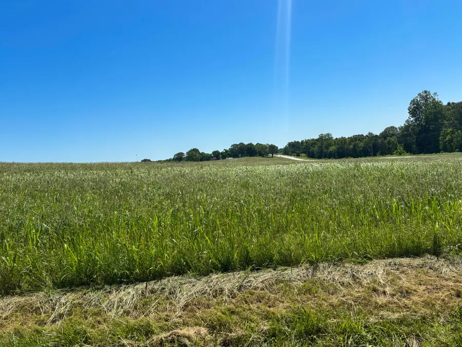 Tbd County Road 900, Theodosia, MO 65761 - #3