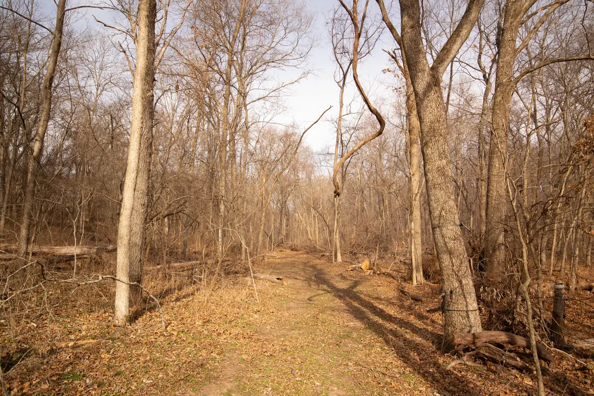 000 Condor Drive #Tract 3s, Seneca, MO 64865 - #1