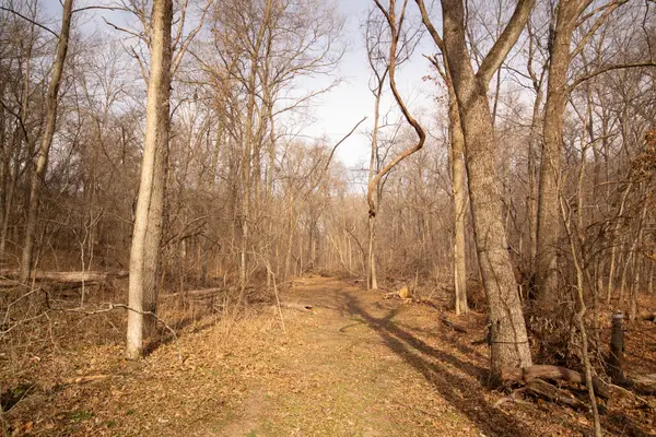 000 Condor Drive #Tract 3s, Seneca, MO 64865