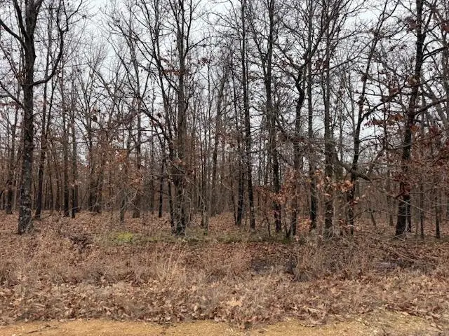 6.48 Acres Hawkweed Trail, Tunas, MO 65764 - #2