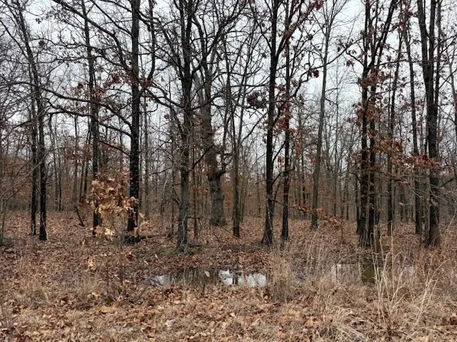 6.48 Acres Hawkweed Trail, Tunas, MO 65764 - #3