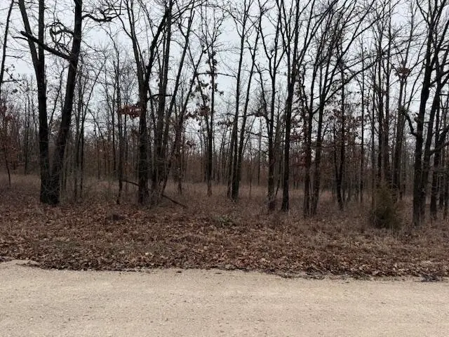 10.3 Acres Post Oak Road, Tunas, MO 65764 - #3