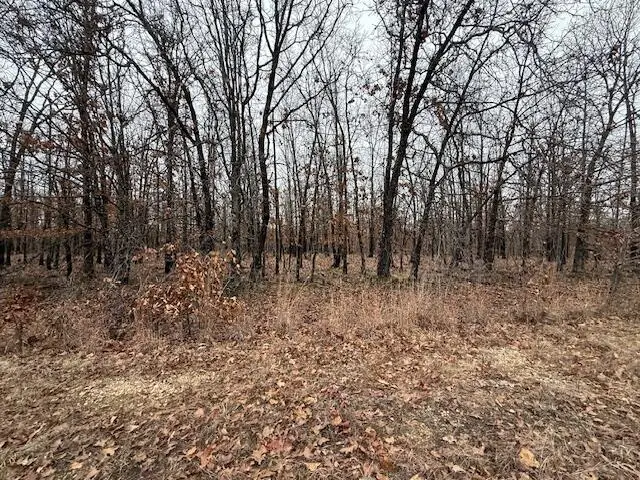 23.25 Acres Post Oak Road, Tunas, MO 65764 - #3