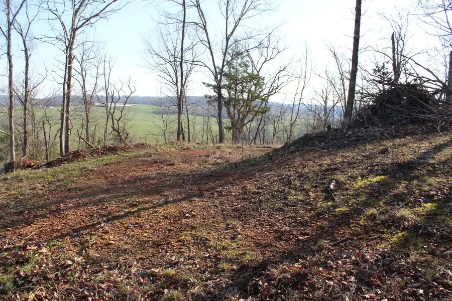 1100 Camp Clark, Galena, MO 65656 - #3