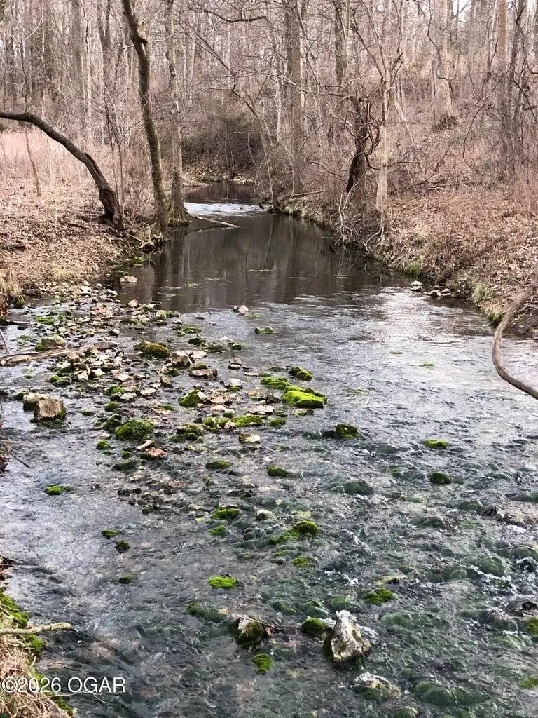 11279 Holly Road, Neosho, MO 64850 - #3