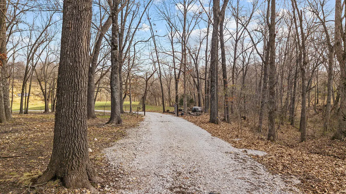 745 Pardon Road, Marionville, MO 65705 - #1