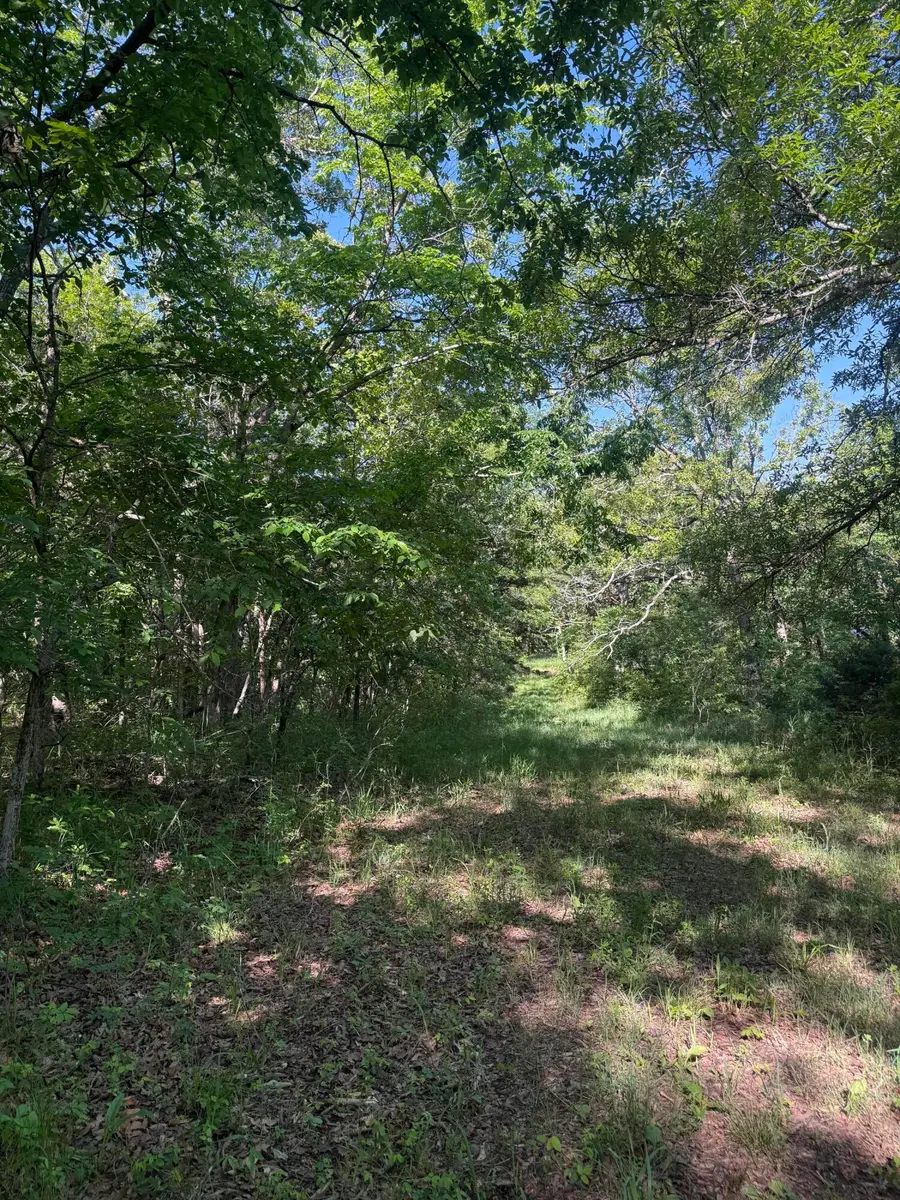 Tbd County Road 203, Wheatland, MO 65779 - #2