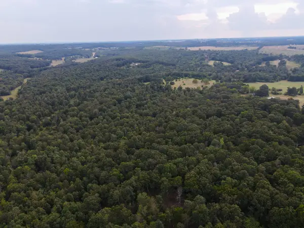 Tract 2 Co Rd 347, Koshkonong, MO 65692