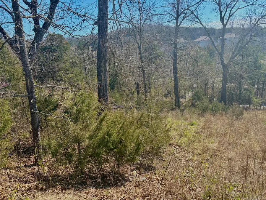 180 Green Briar Drive, Branson, MO 65616 - #3