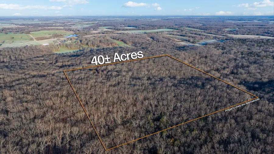 000 County Road 340, Flemington, MO 65650 - #2