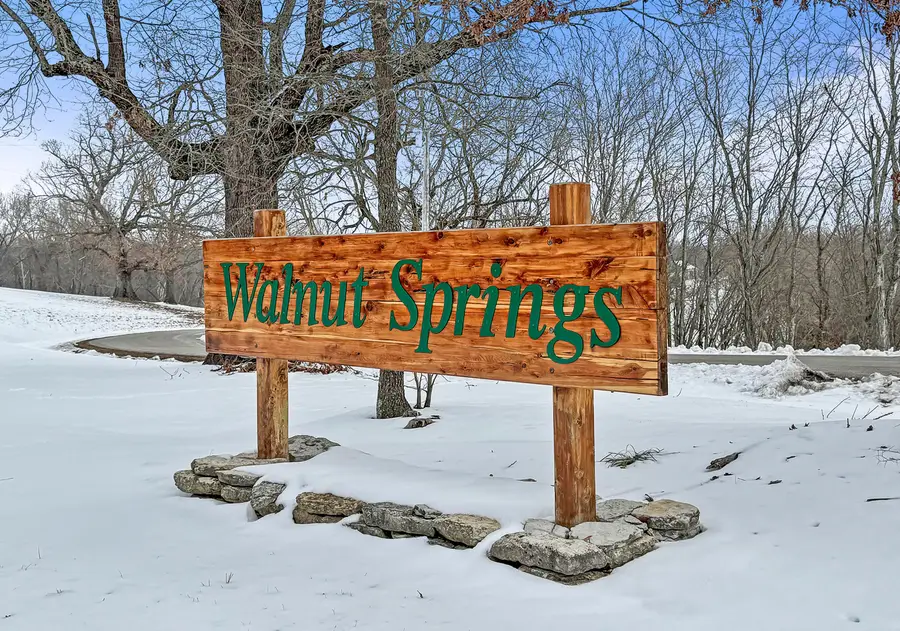 648 Panorama Drive, Cape Fair, MO 65624 - #3