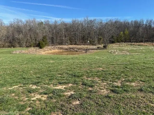 6481 Private Road 1182, West Plains, MO 65775 - #3