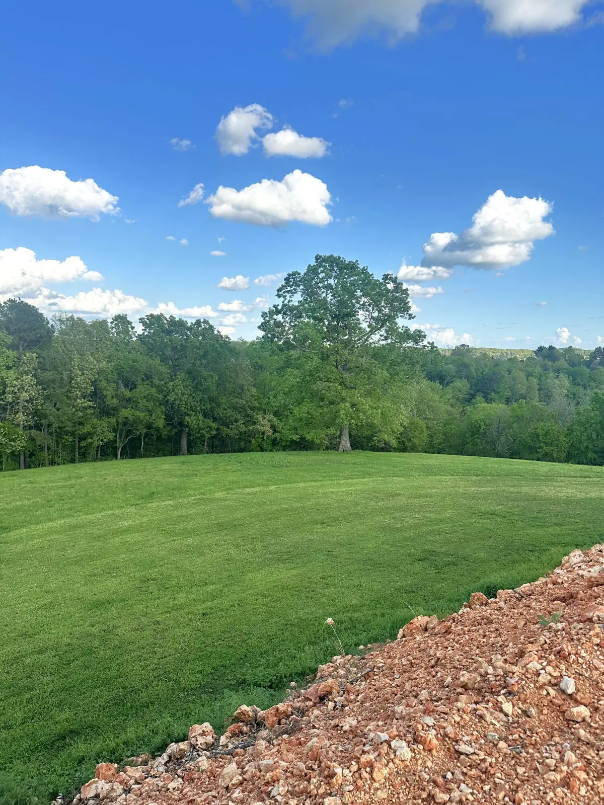 000 Hog Ridge Court, Noel, MO 64854 - #1