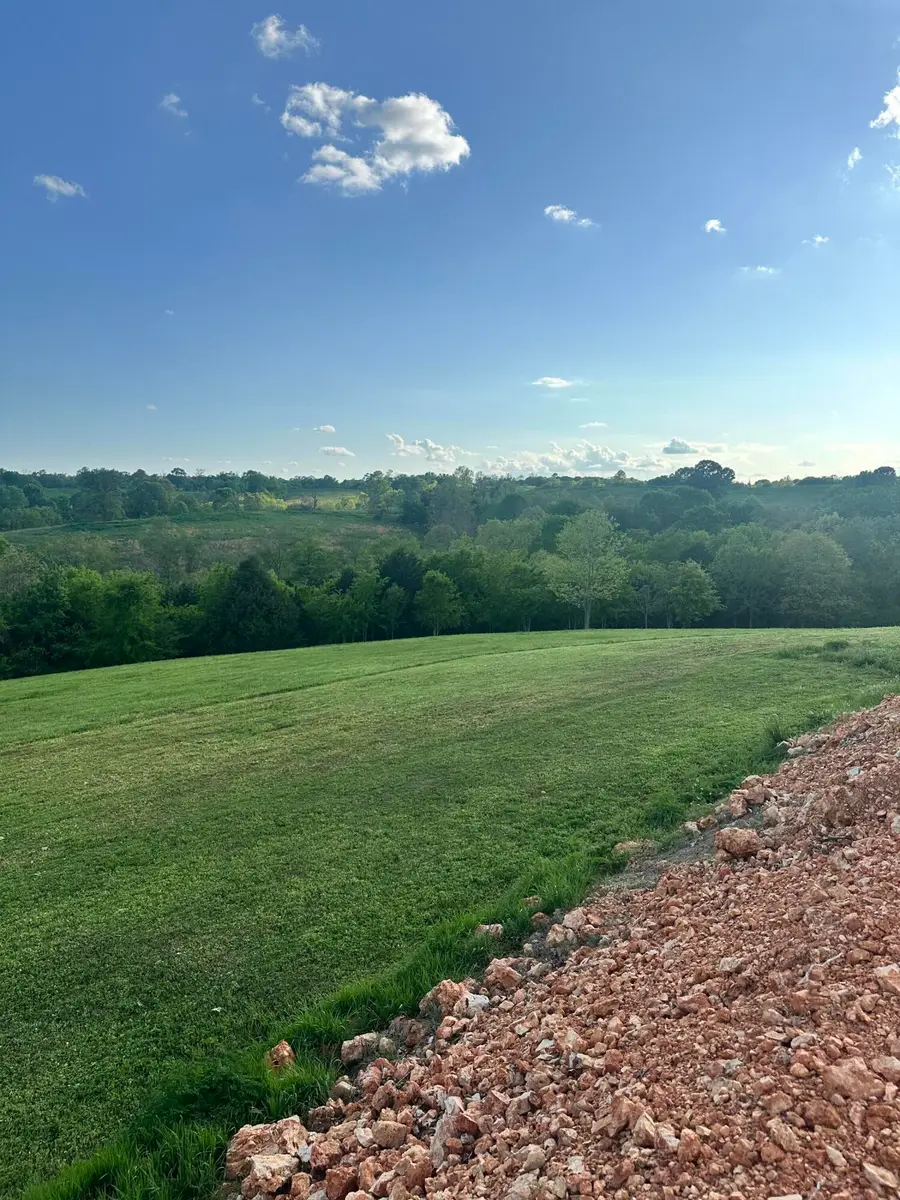 000 Hog Ridge Court, Noel, MO 64854 - #3