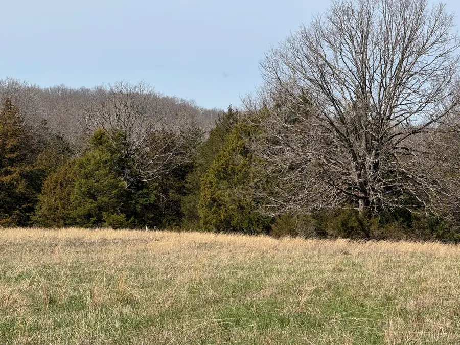 295 Woodstock Road, Elkland, MO 65644 - #3