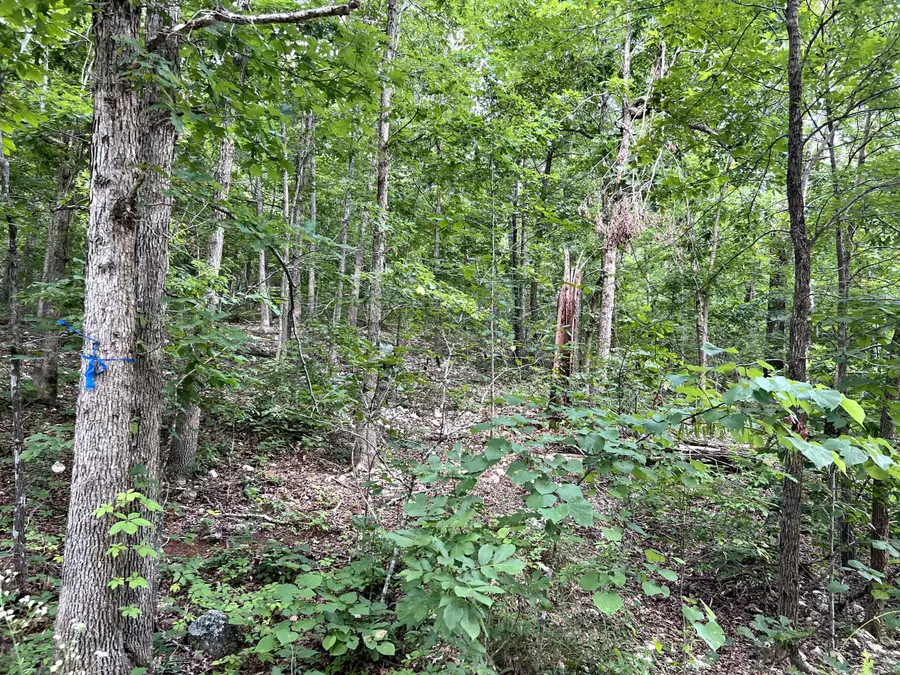 Lot 45 Private Road Ridge Haven, Mammoth Spring, AR 72554 - #3