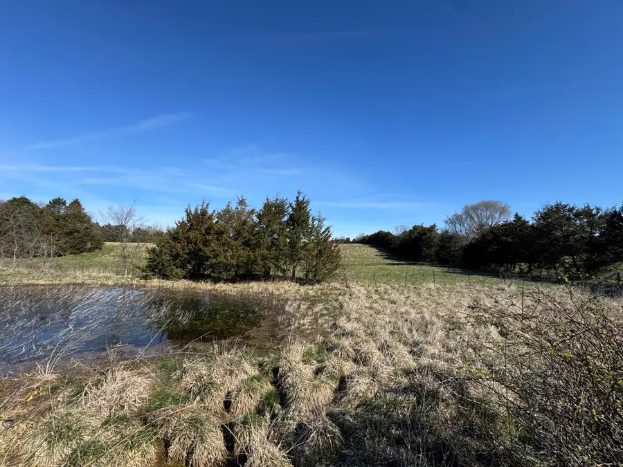 295 Woodstock Road, Elkland, MO 65644 - #2