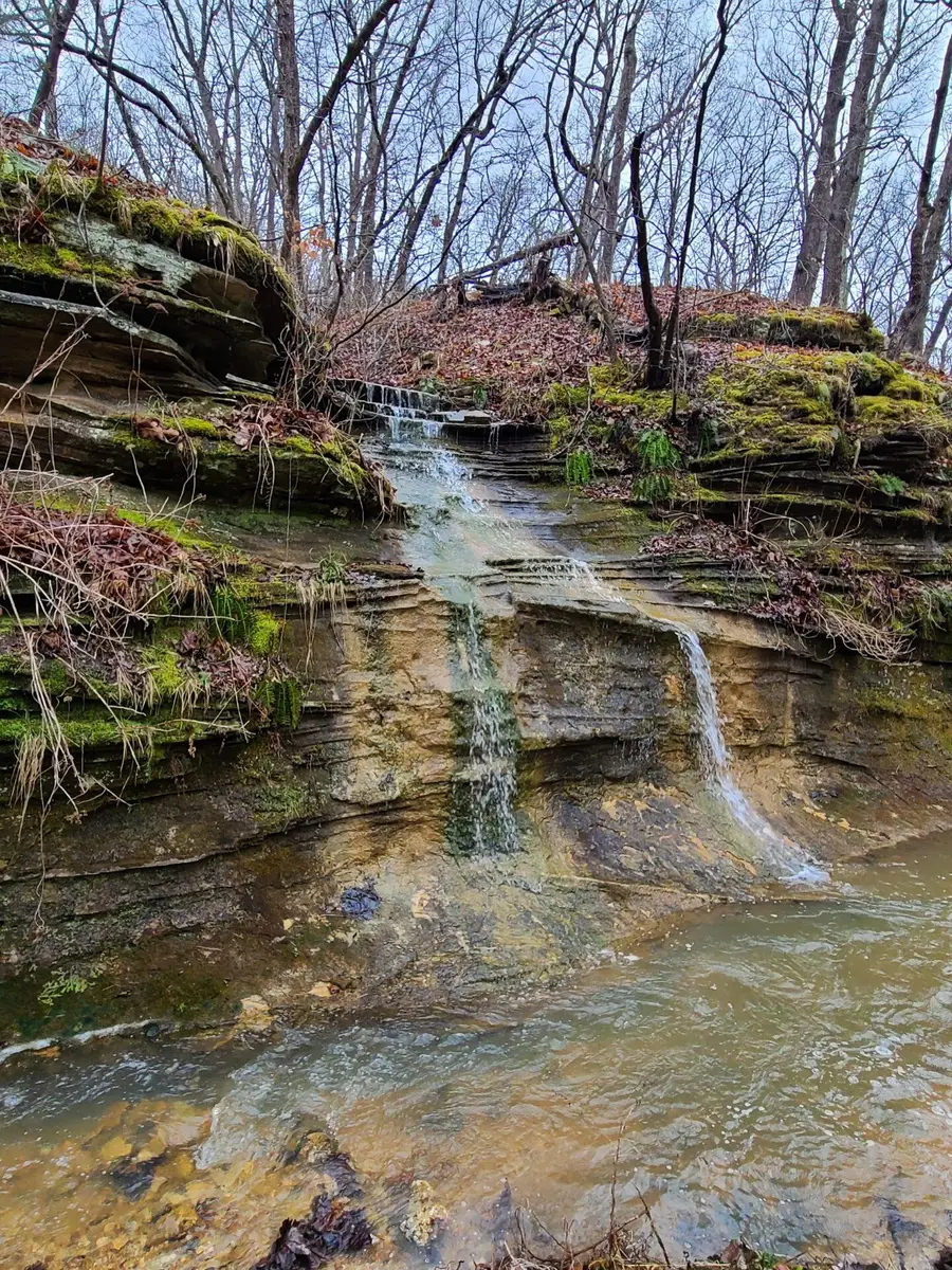 000 Velvet Antler Road Road, Camdenton, MO 65020 - #2