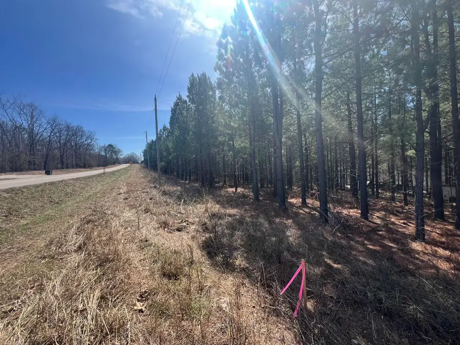 000 Highway Y, Willow Springs, MO 65793 - #3