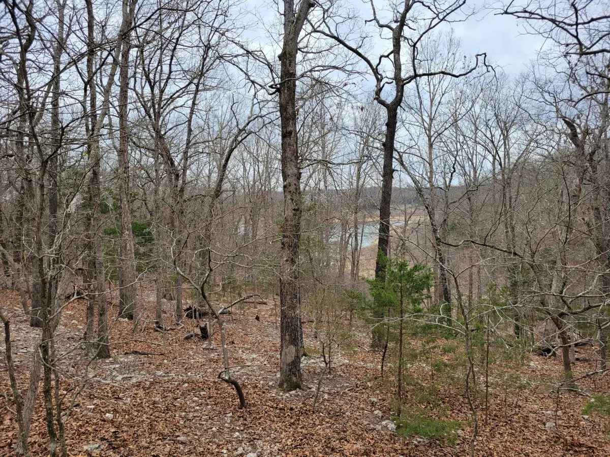 000 Lost Mine Road, Theodosia, MO 65761 - #1