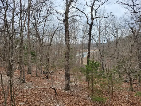 000 Lost Mine Road, Theodosia, MO 65761