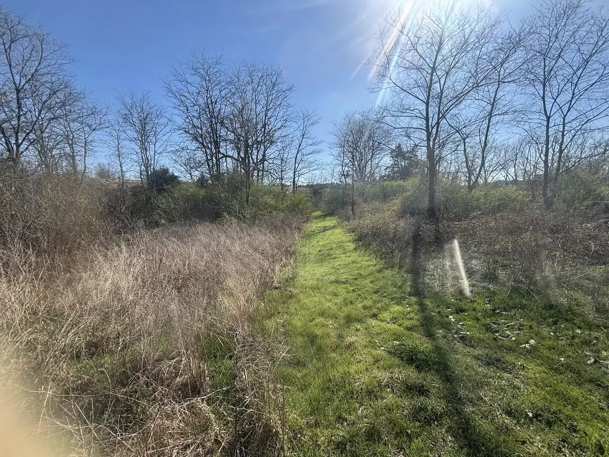 000 Weaver Street, Winona, MO 65588 - #1