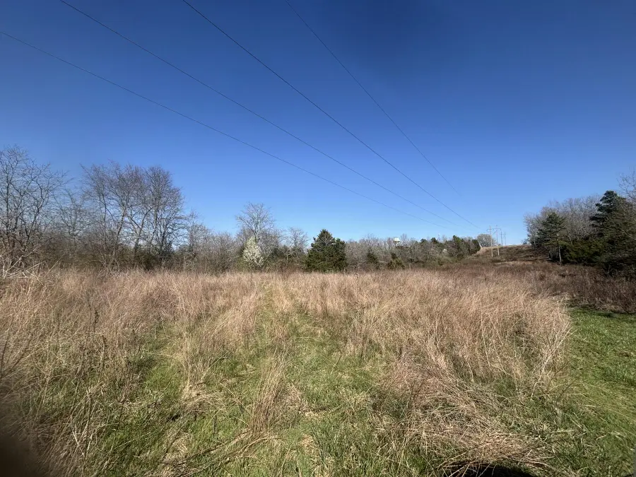 000 Weaver Street, Winona, MO 65588 - #2