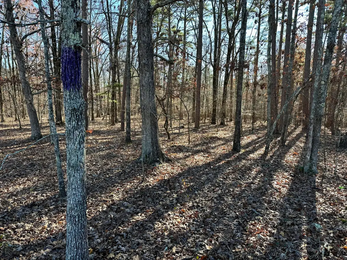 000 Highway H, Jackson, MO 63937 - #1