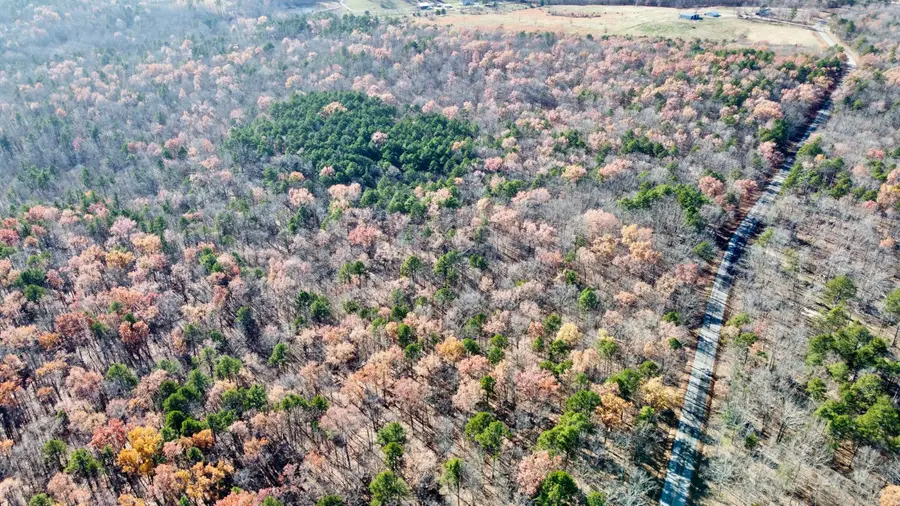 000 Highway H, Jackson, MO 63937 - #2