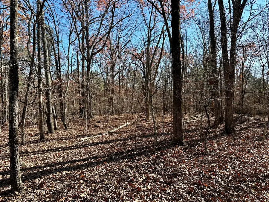 000 Highway H, Jackson, MO 63937 - #3