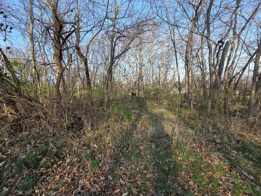 Tbd Pacific Highlands, Carthage, MO 64836 - #2