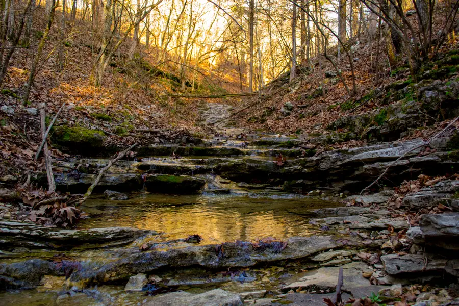 2552 State Highway V, Stella, MO 64867 - #2