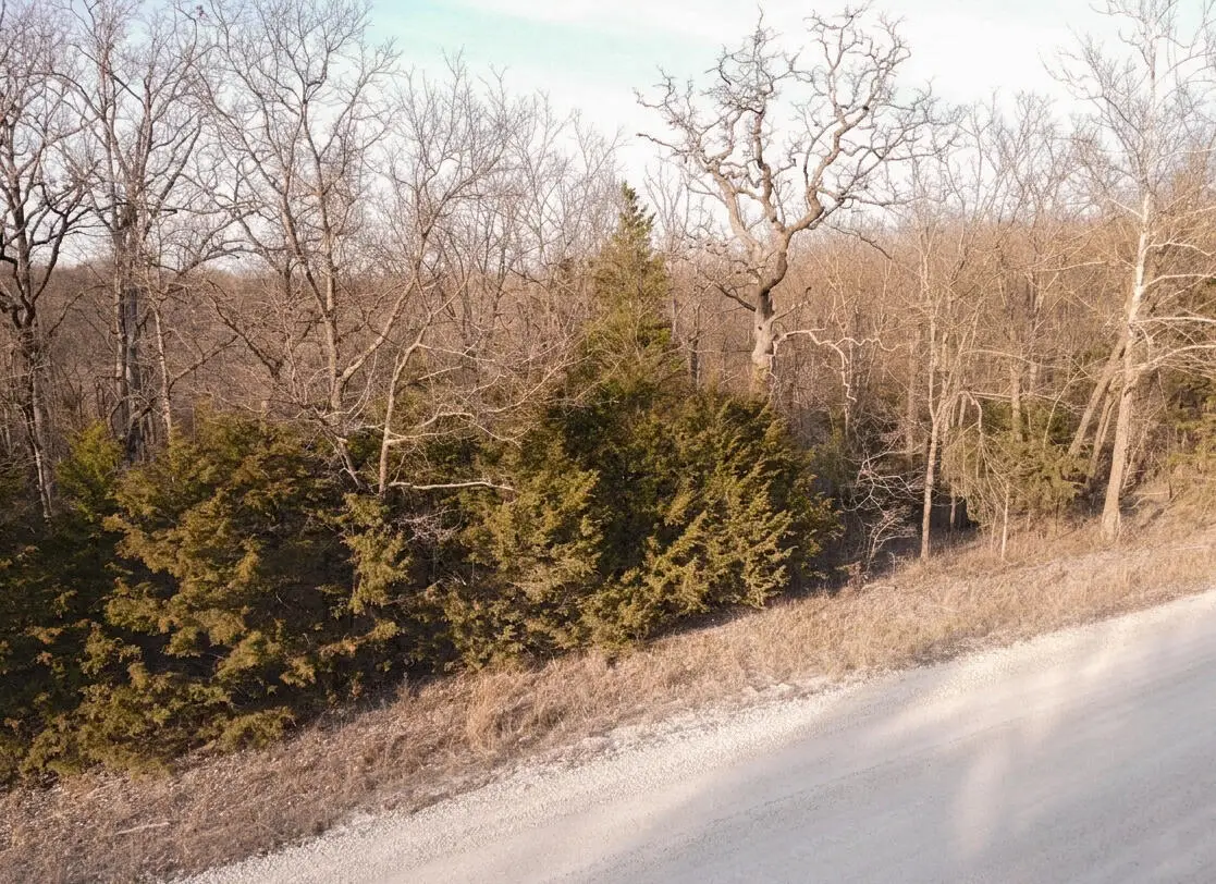 000 County Road 363, Urbana, MO 65767 - #1