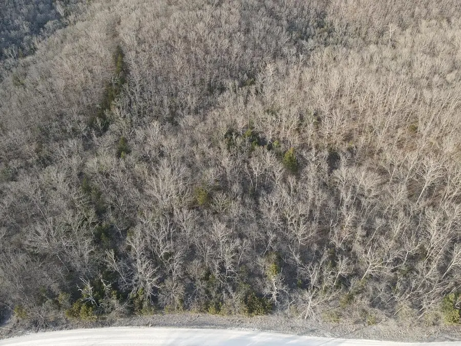 000 County Road 363, Urbana, MO 65767 - #2