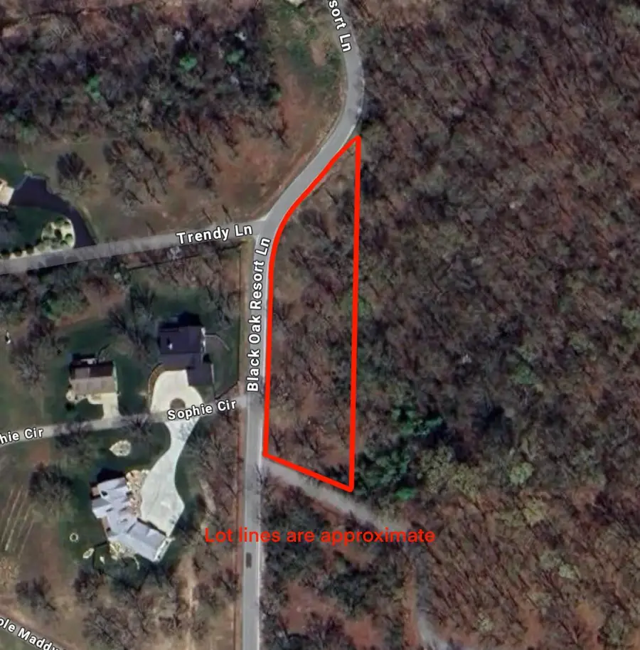 000 Black Oak Resort Lane, Lampe, MO 65681 - #3