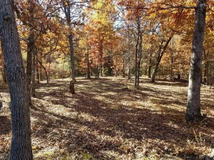 Tbd Foxtail Trail, Louisburg, MO 65685 - #2