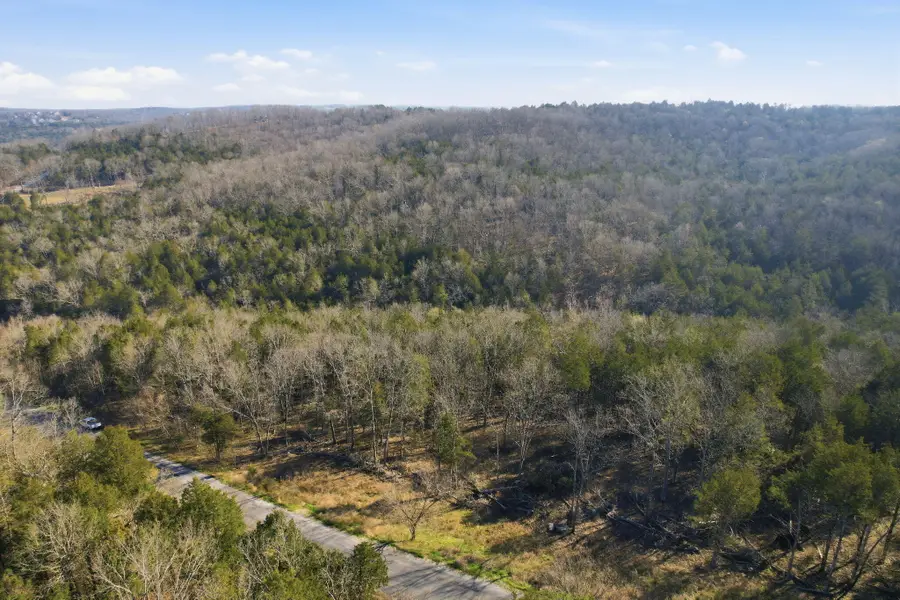 000 Wooded View Drive, Galena, MO 65656 - #3