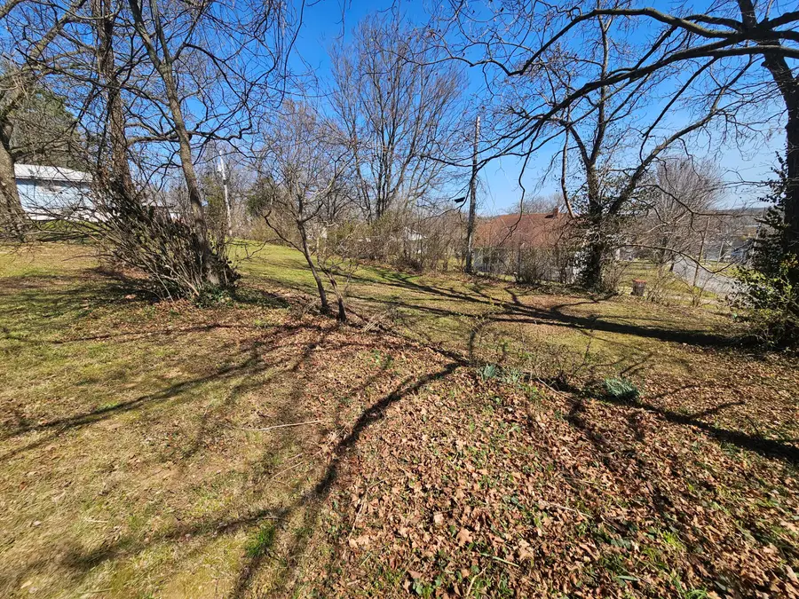 603 W 1st Street, Cassville, MO 65625 - #3