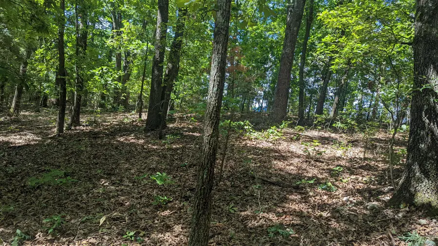 5148 Mo-173, Cape Fair, MO 65624 - #3