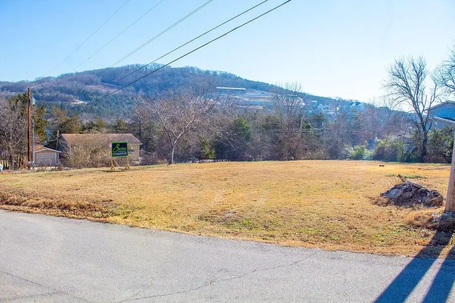 244 Ho Hum Trail, Hollister, MO 65672 - #3