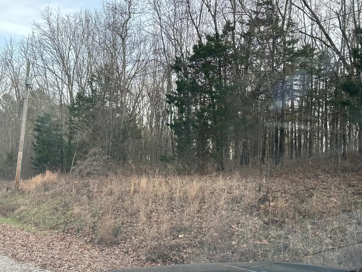 000 Ranchview Road, Ridgedale, MO 65739 - #1