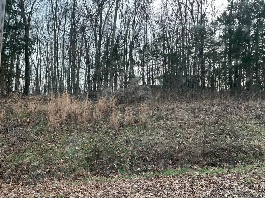 000 Ranchview Road, Ridgedale, MO 65739 - #2