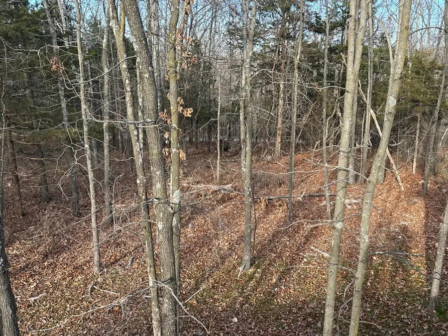 000 Ranchview Road, Ridgedale, MO 65739 - #3